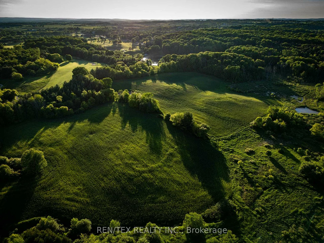 14140, 8th Concession, Rural King, King