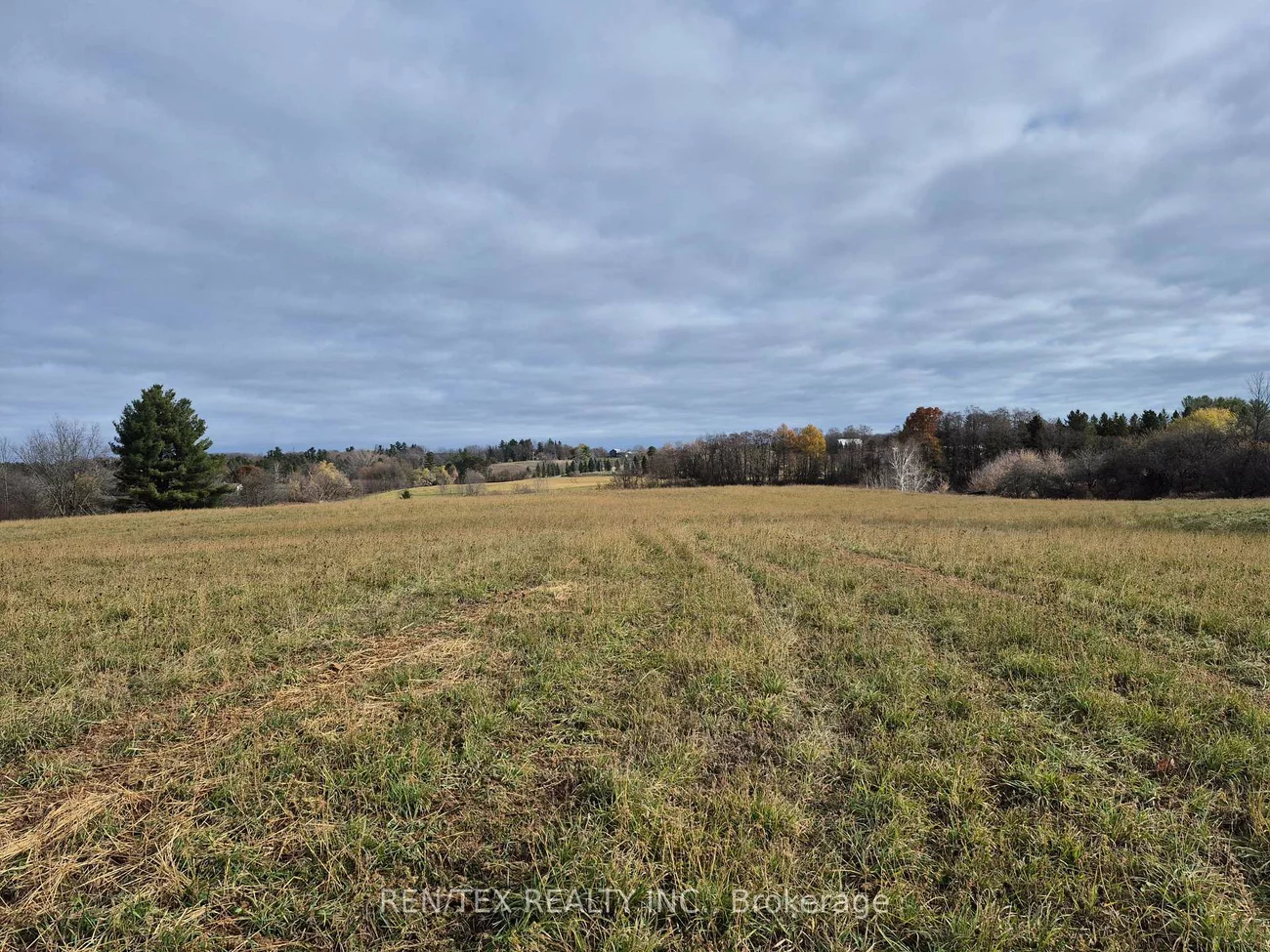 14140, 8th Concession, Rural King, King