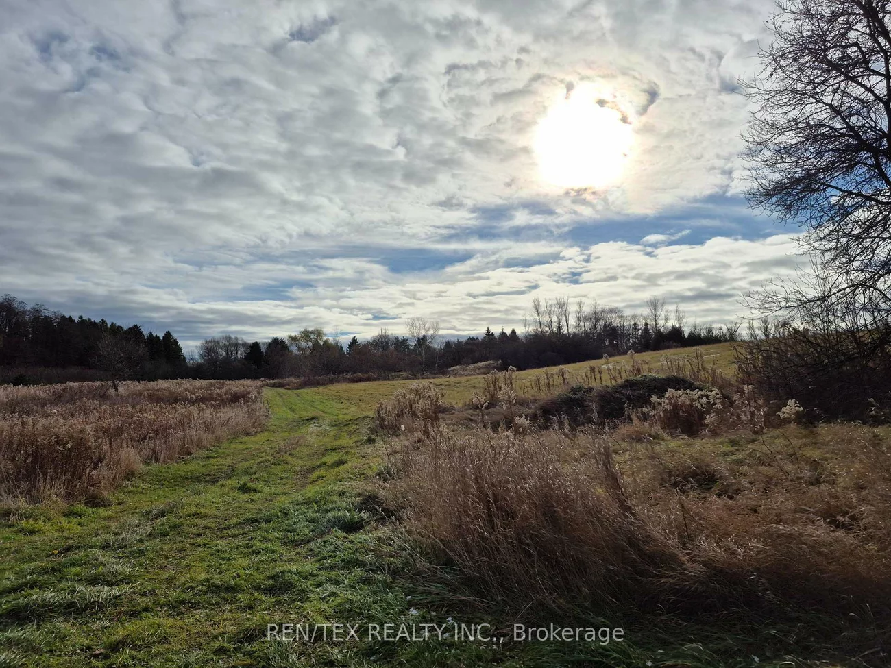 14140, 8th Concession, Rural King, King