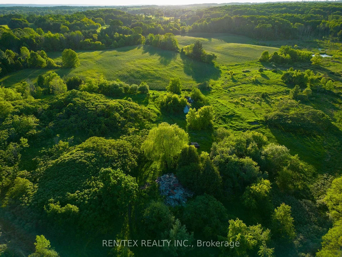 14140, 8th Concession, Rural King, King