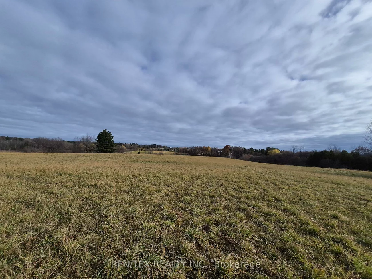 14140, 8th Concession, Rural King, King