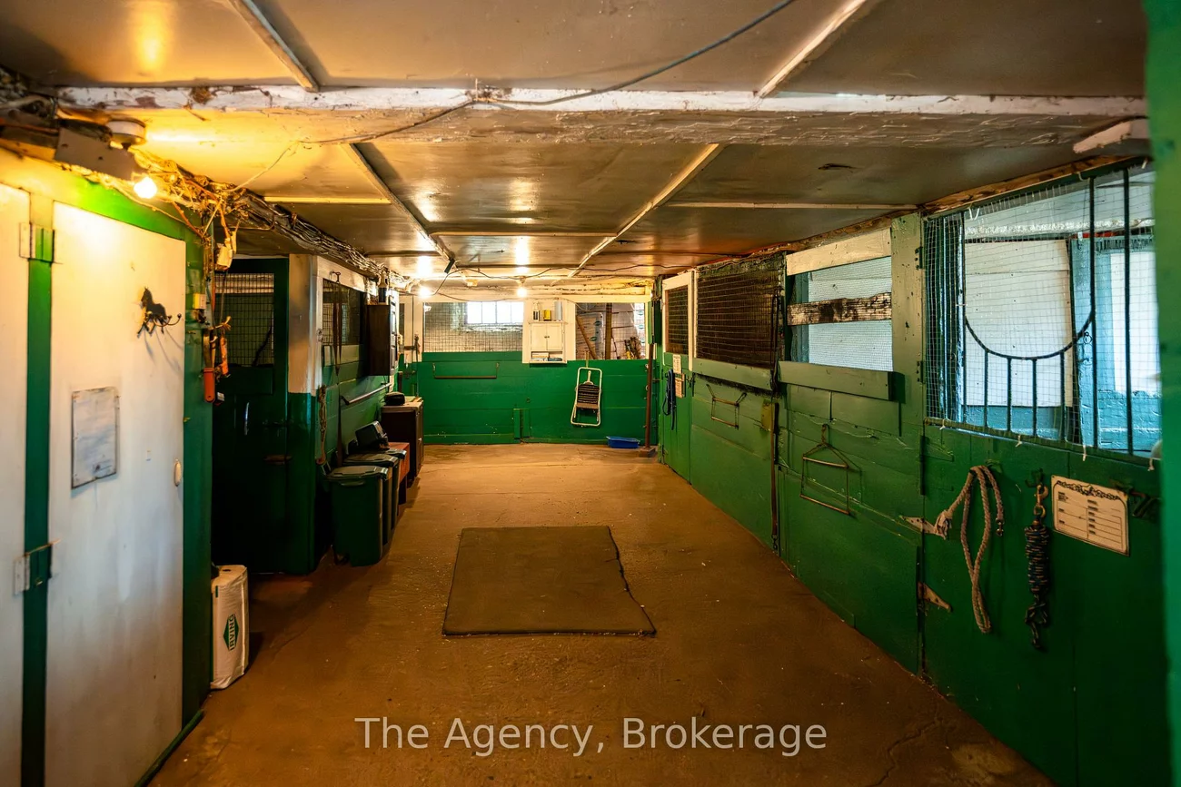 5150, 17, Schomberg, King