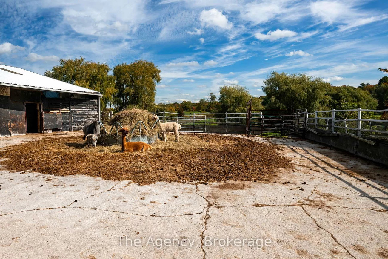 5150, 17, Schomberg, King