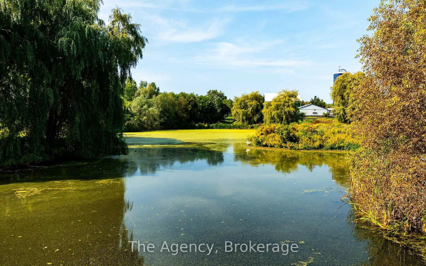 5150, 17, Schomberg, King