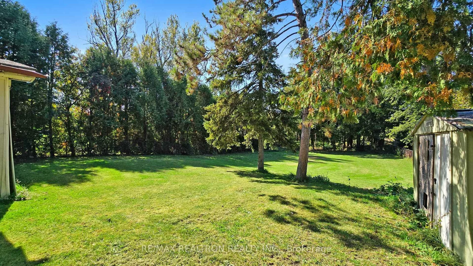 14376, Jane, Rural King, King