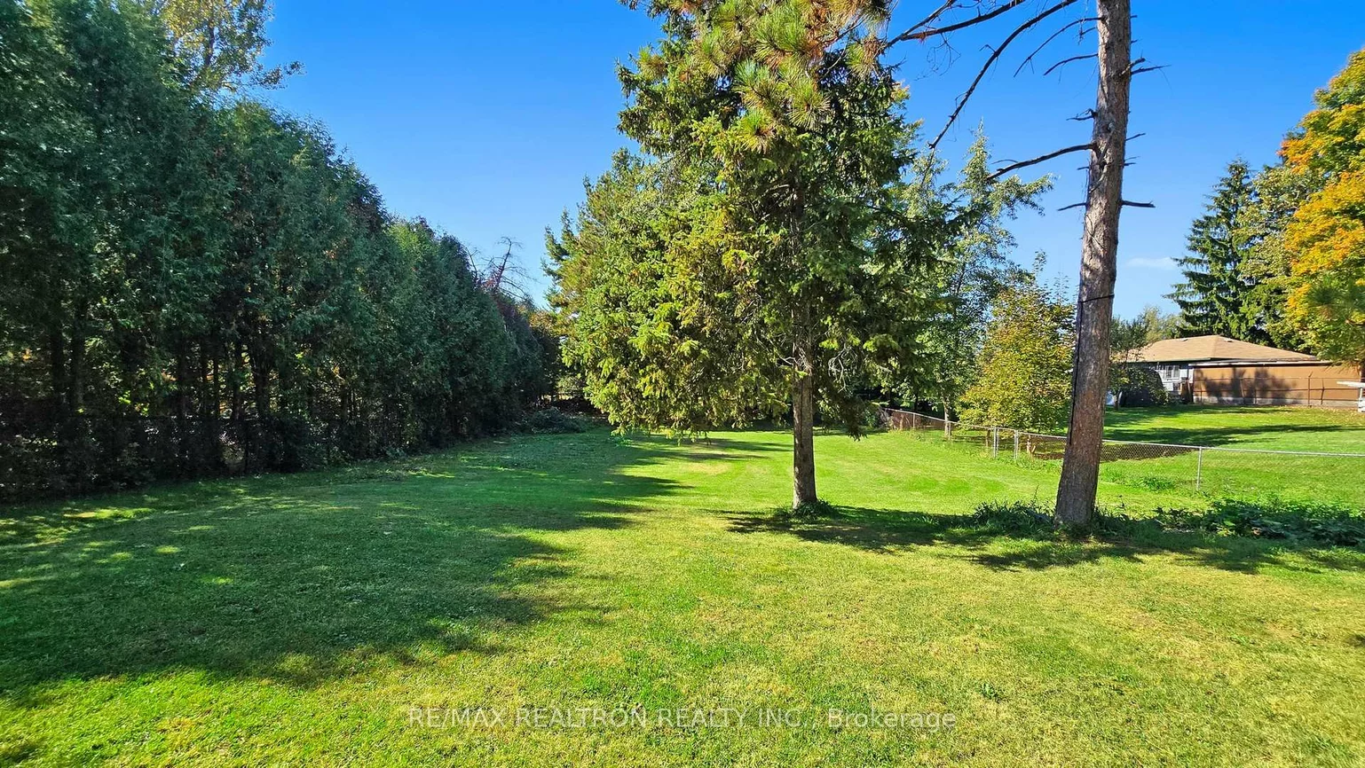 14376, Jane, Rural King, King