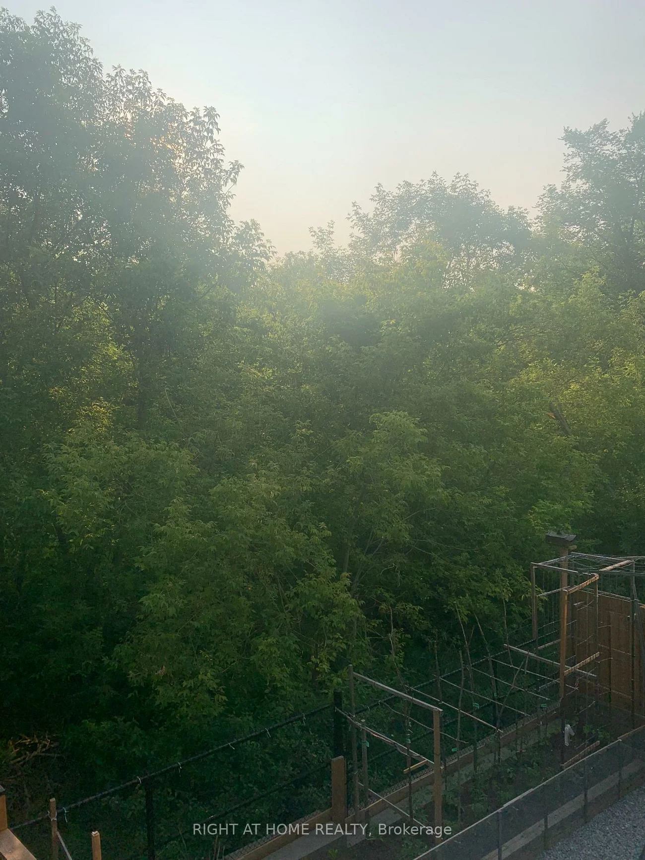 26, Great Heron, King City, King