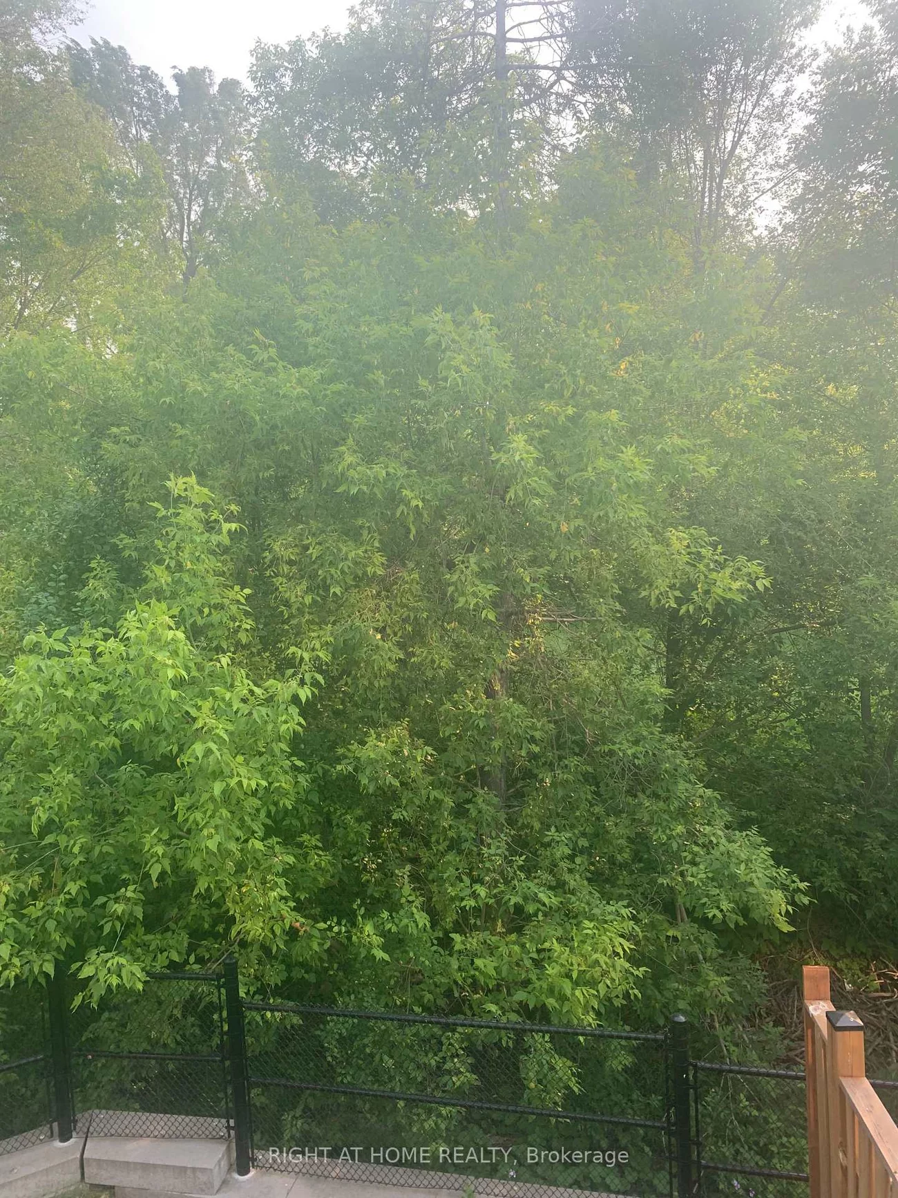 26, Great Heron, King City, King