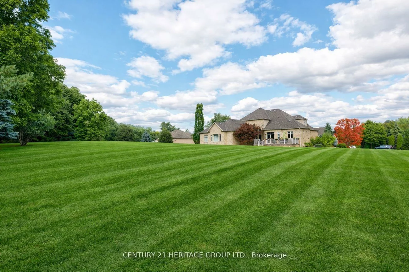 12, Prince Adam, Rural King, King