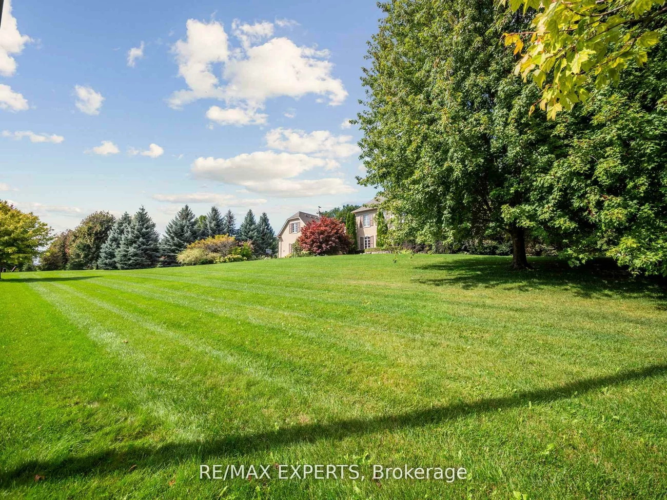 105, Eden Vale, Rural King, King