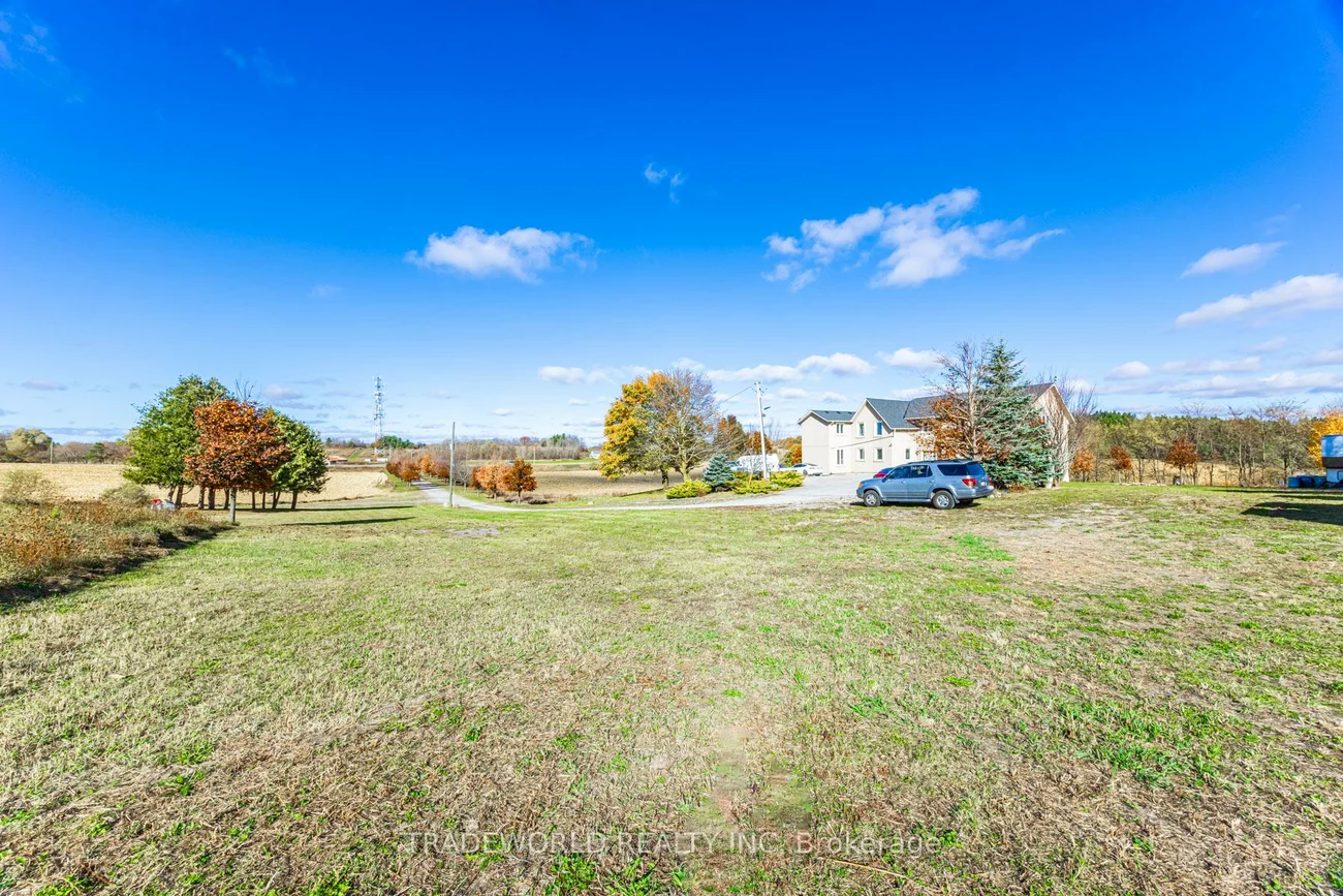 8805, Highway 9, Rural King, King