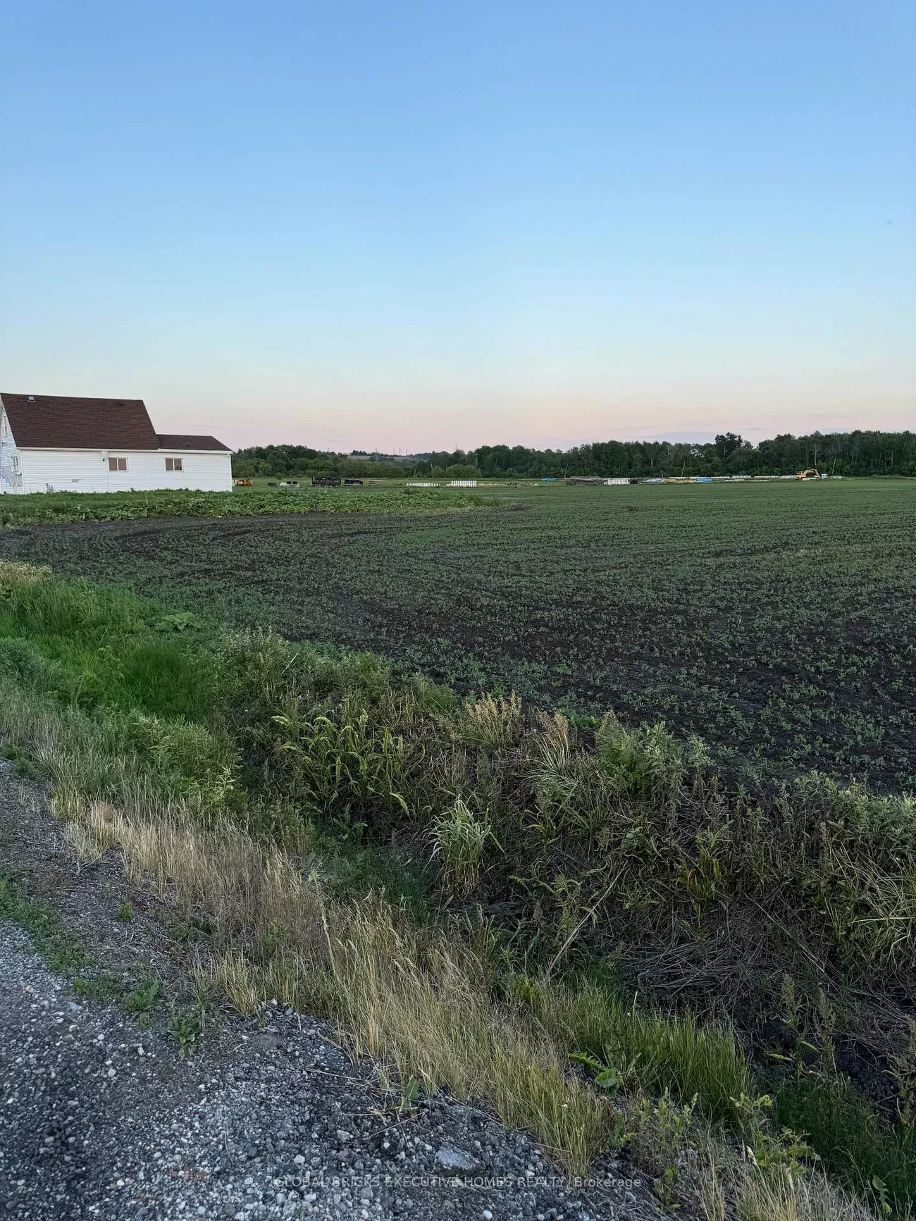 325, King, Rural King, King