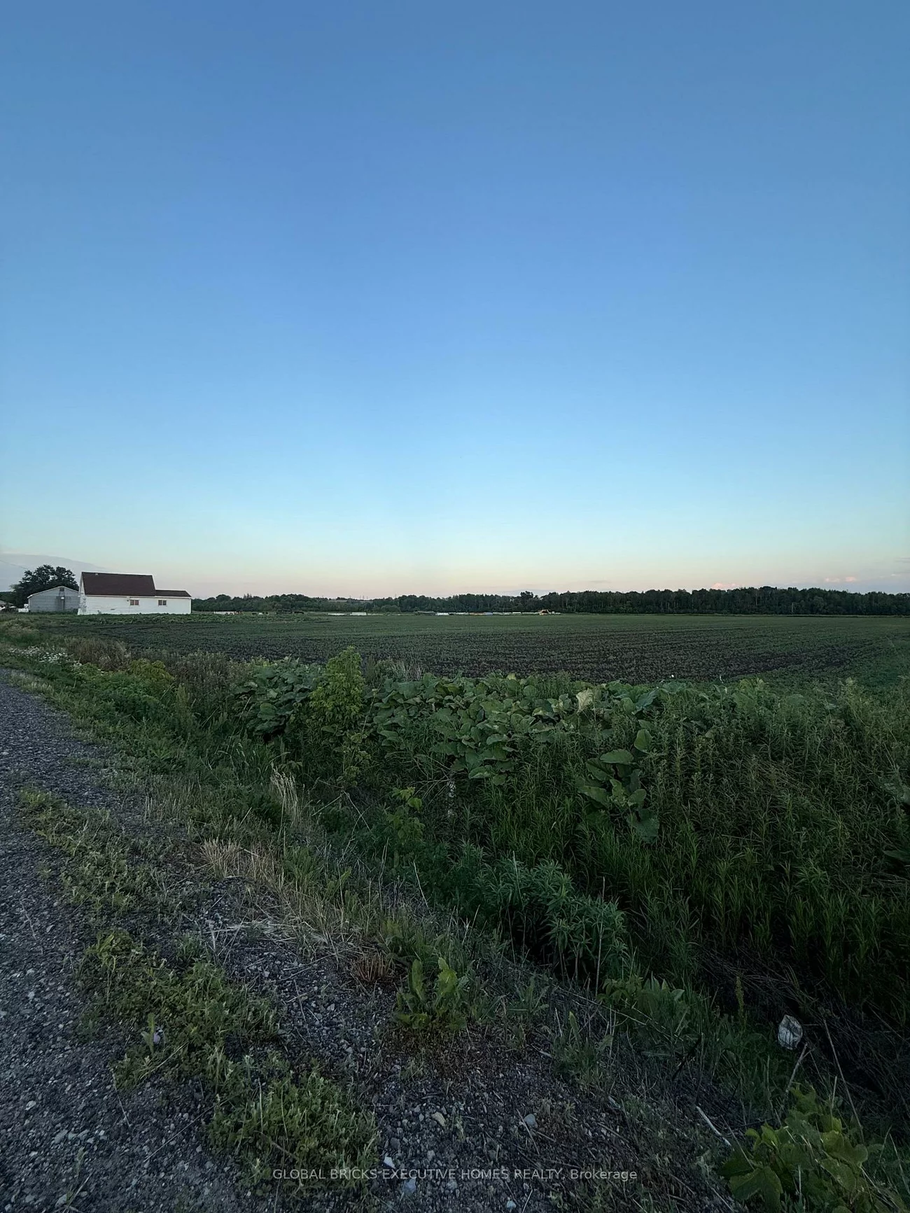325, King, Rural King, King