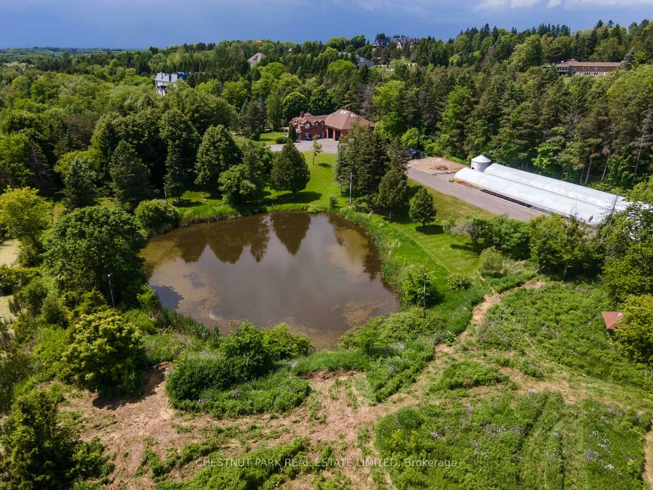 15175, Keele, Rural King, King