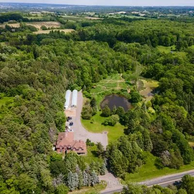15175, Keele, Rural King, King