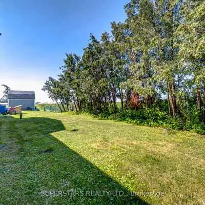 19880, Dufferin, Rural King, King