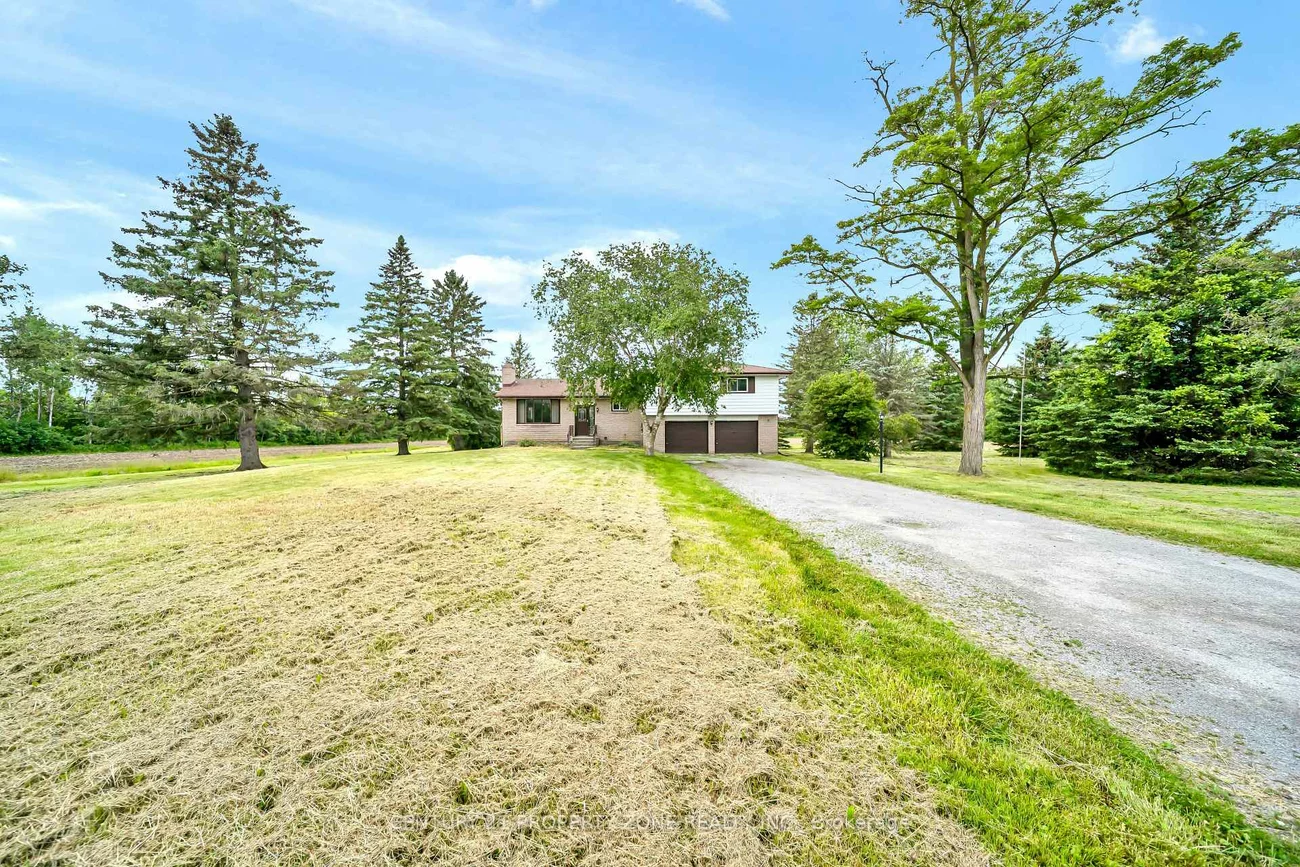 18580, DUFFERIN, Rural King, King