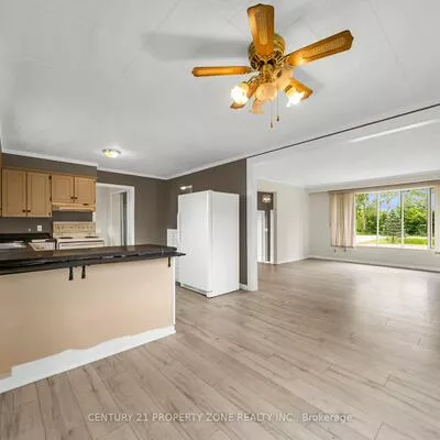 18580, DUFFERIN, Rural King, King