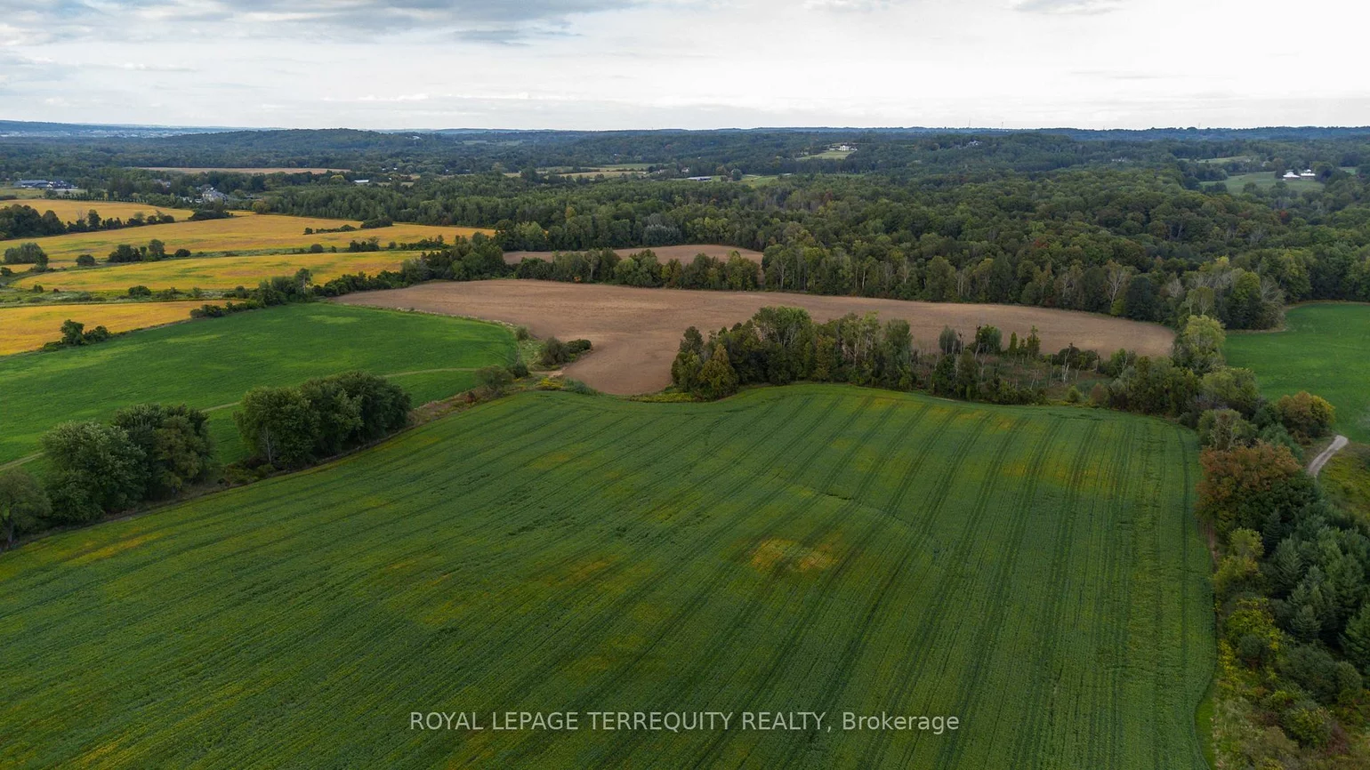 15625, 8th Concession, Rural King, King