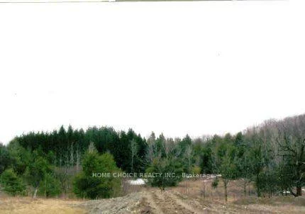 14600, jane, Rural King, King