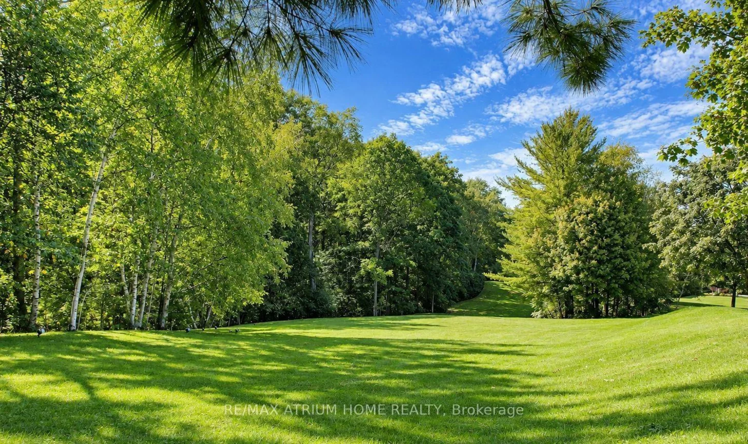 65, Kingswood, Rural King, King