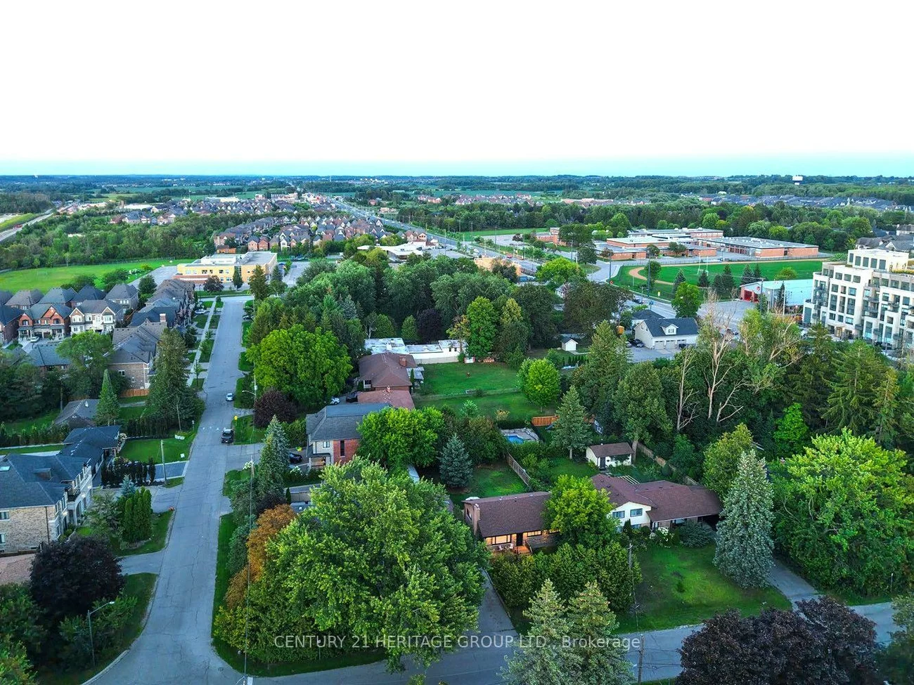 45, William, King City, King