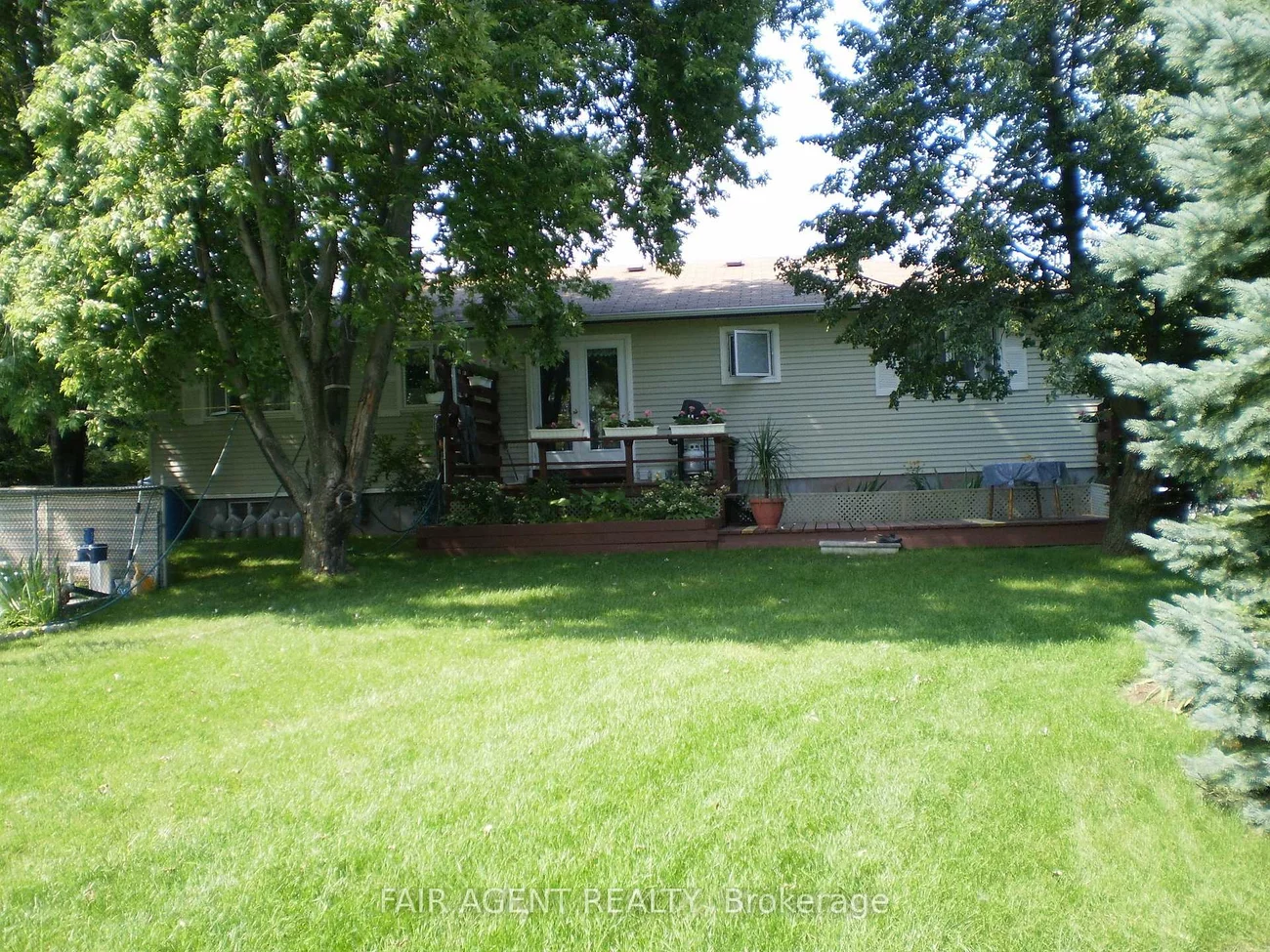 33, Maynard, Schomberg, King