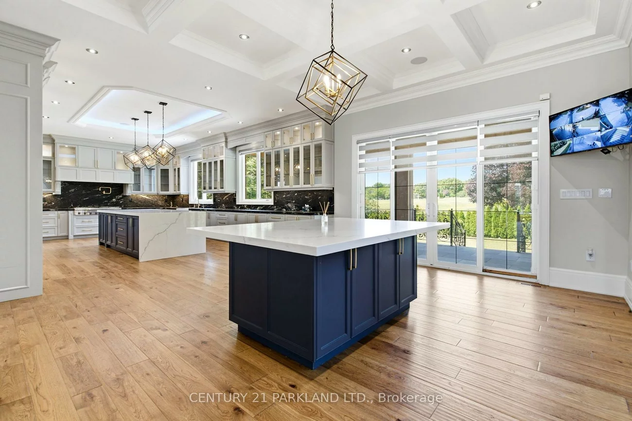 12, Hollywood, Nobleton, King
