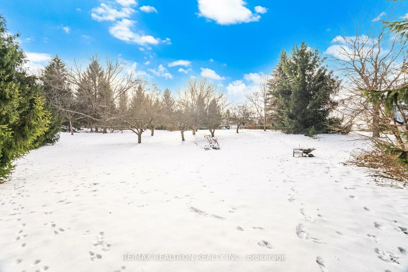 17145, Caledon King, Rural King, King