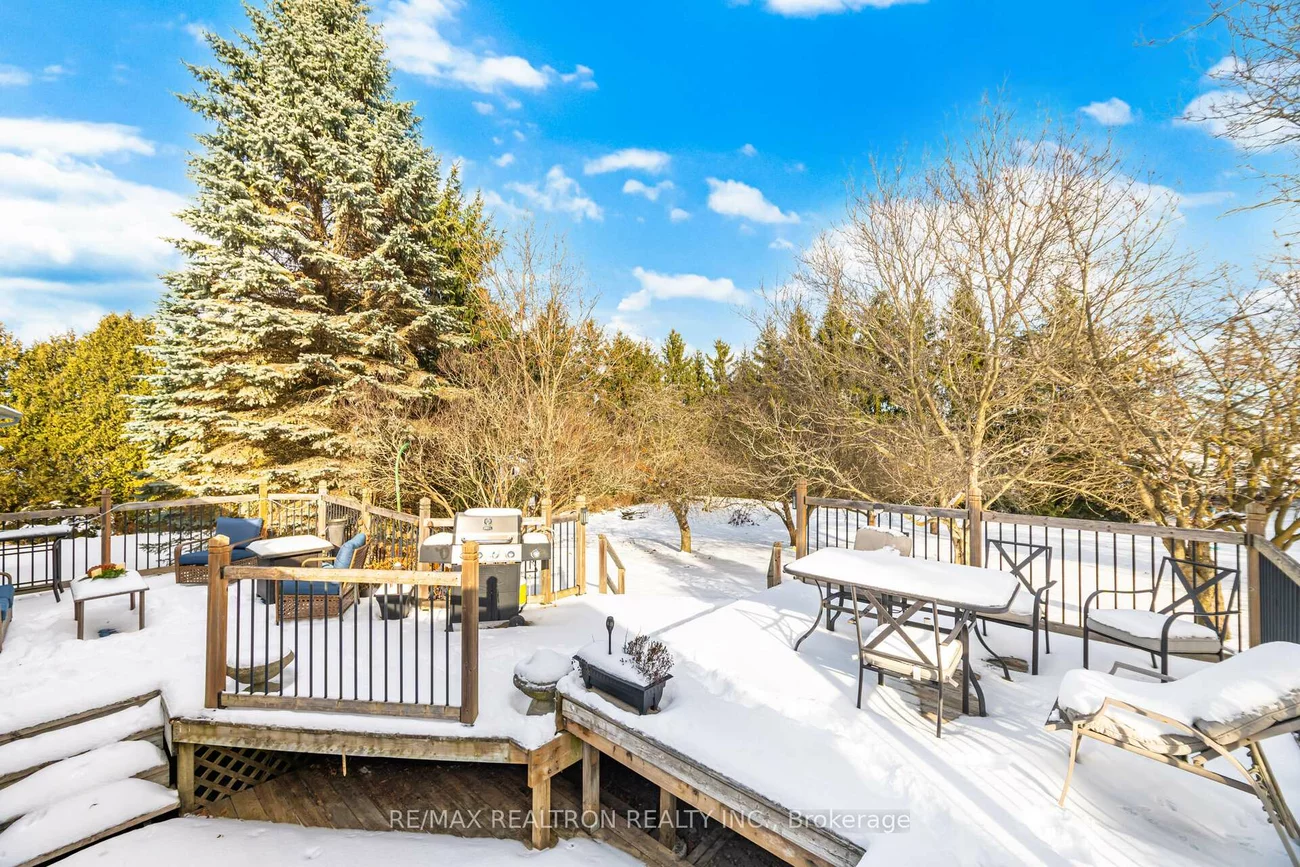 17145, Caledon King, Rural King, King