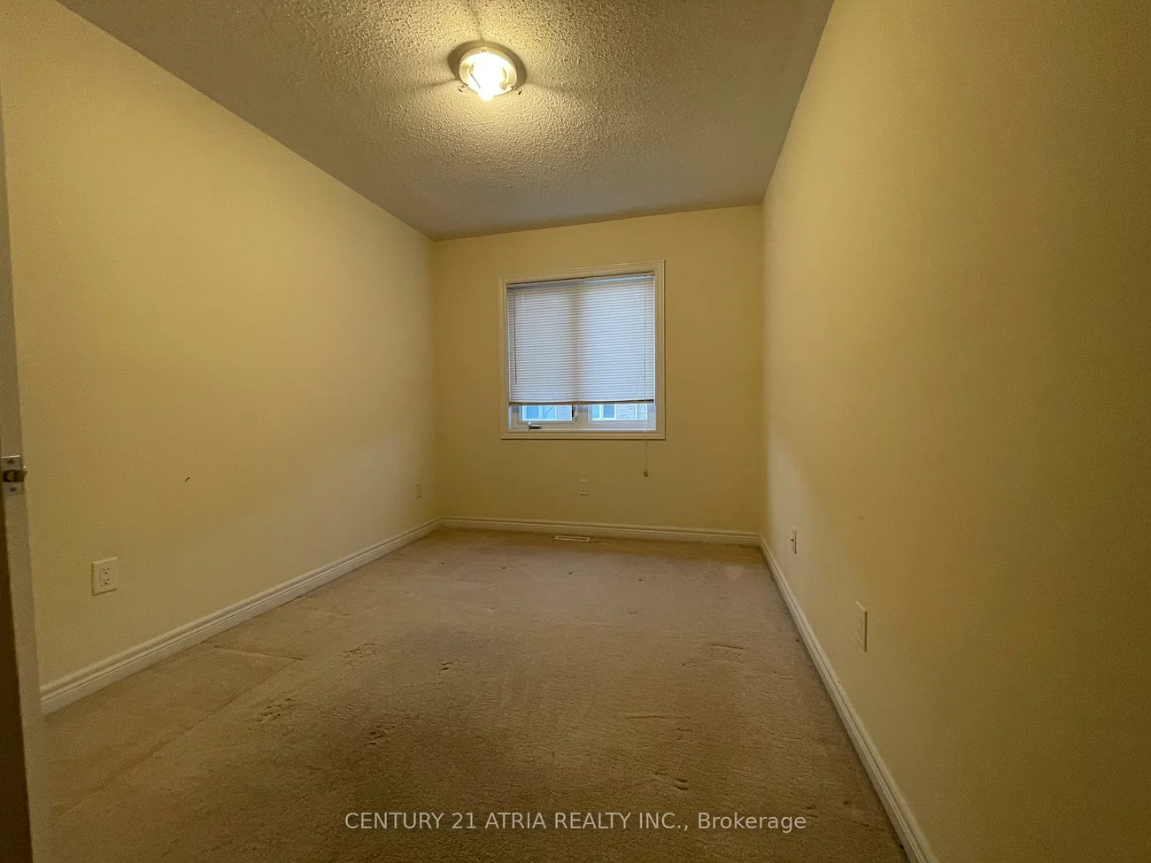 14, Sibbald, Berczy, Markham