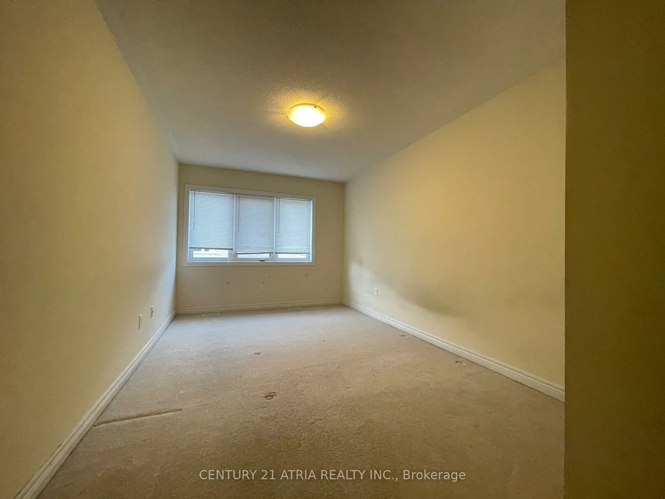 14, Sibbald, Berczy, Markham
