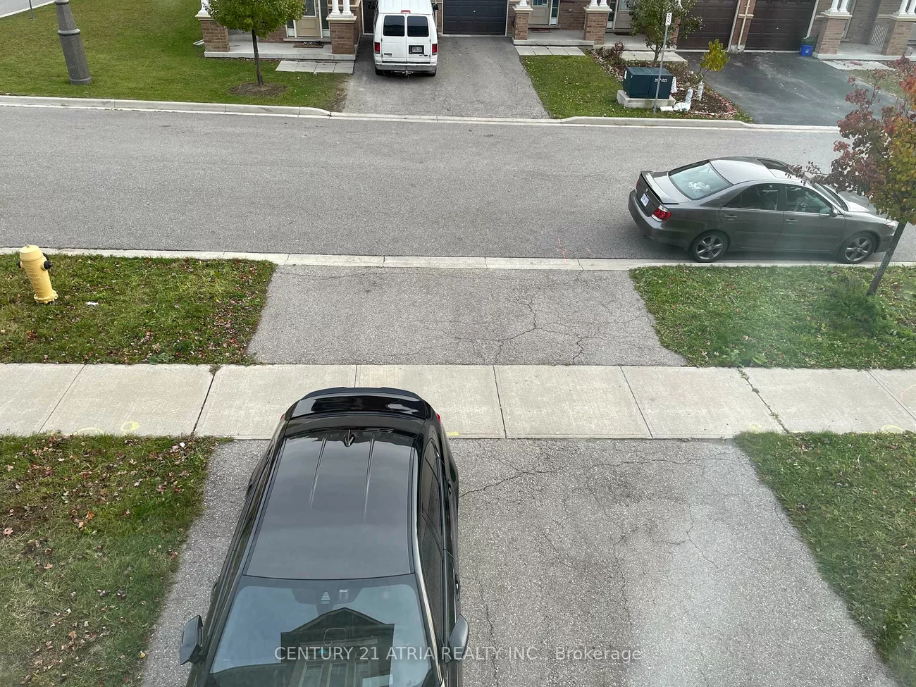 14, Sibbald, Berczy, Markham