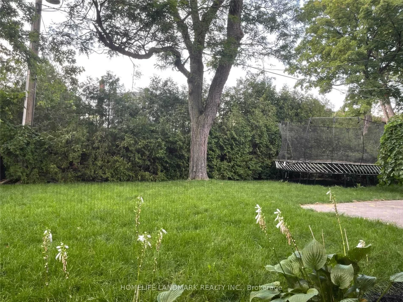 34, Wild Cherry, Royal Orchard, Markham