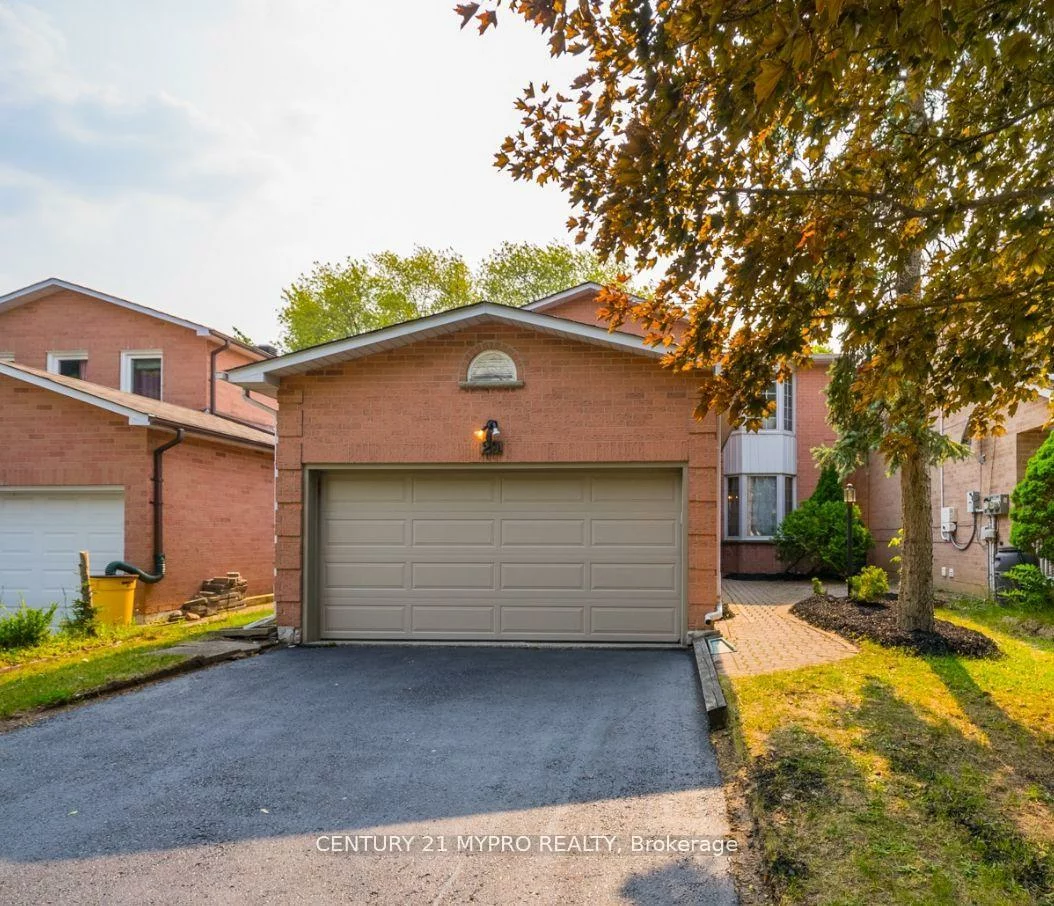 29, Adrian, Raymerville, Markham