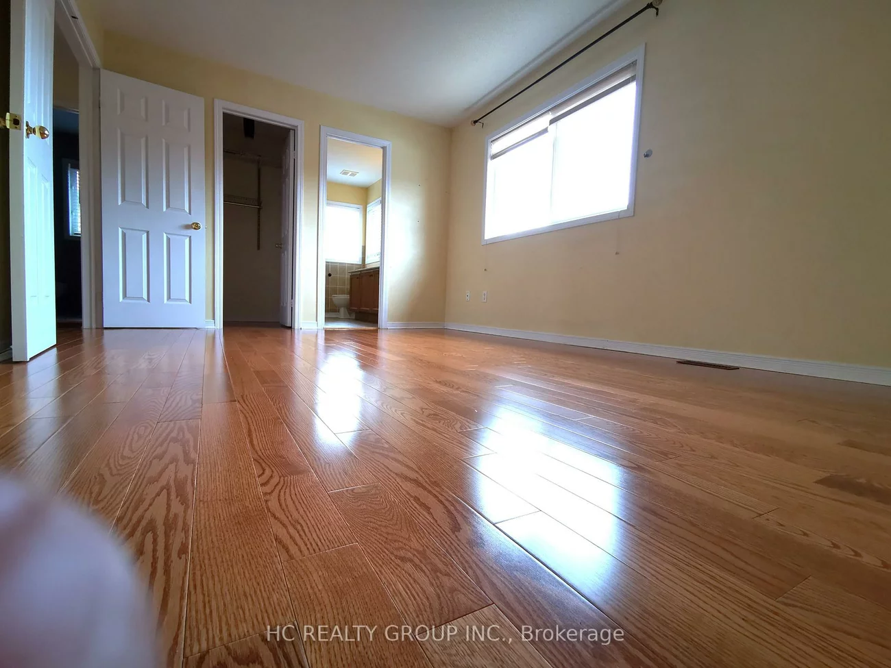 16, Vecchia, Wismer, Markham