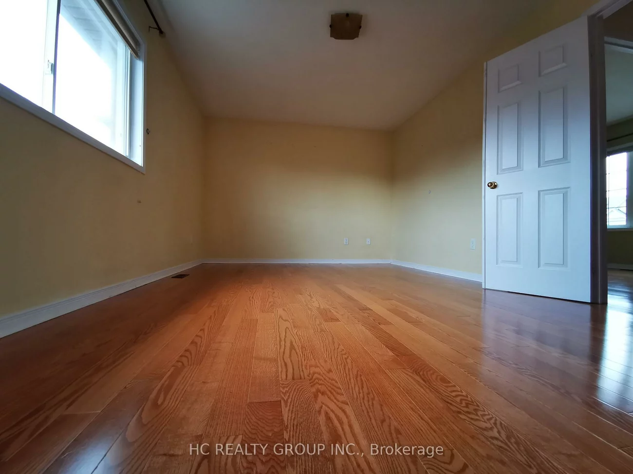 16, Vecchia, Wismer, Markham