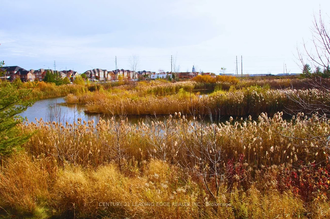 30, Hammersmith, Victoria Square, Markham