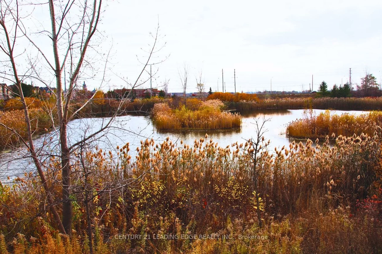30, Hammersmith, Victoria Square, Markham