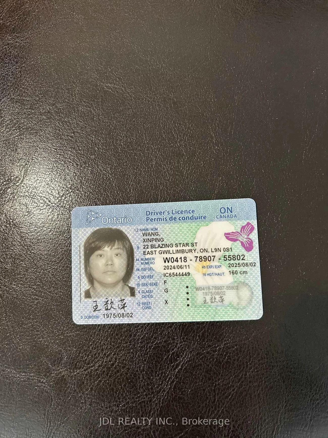 22, Bern, Wismer, Markham