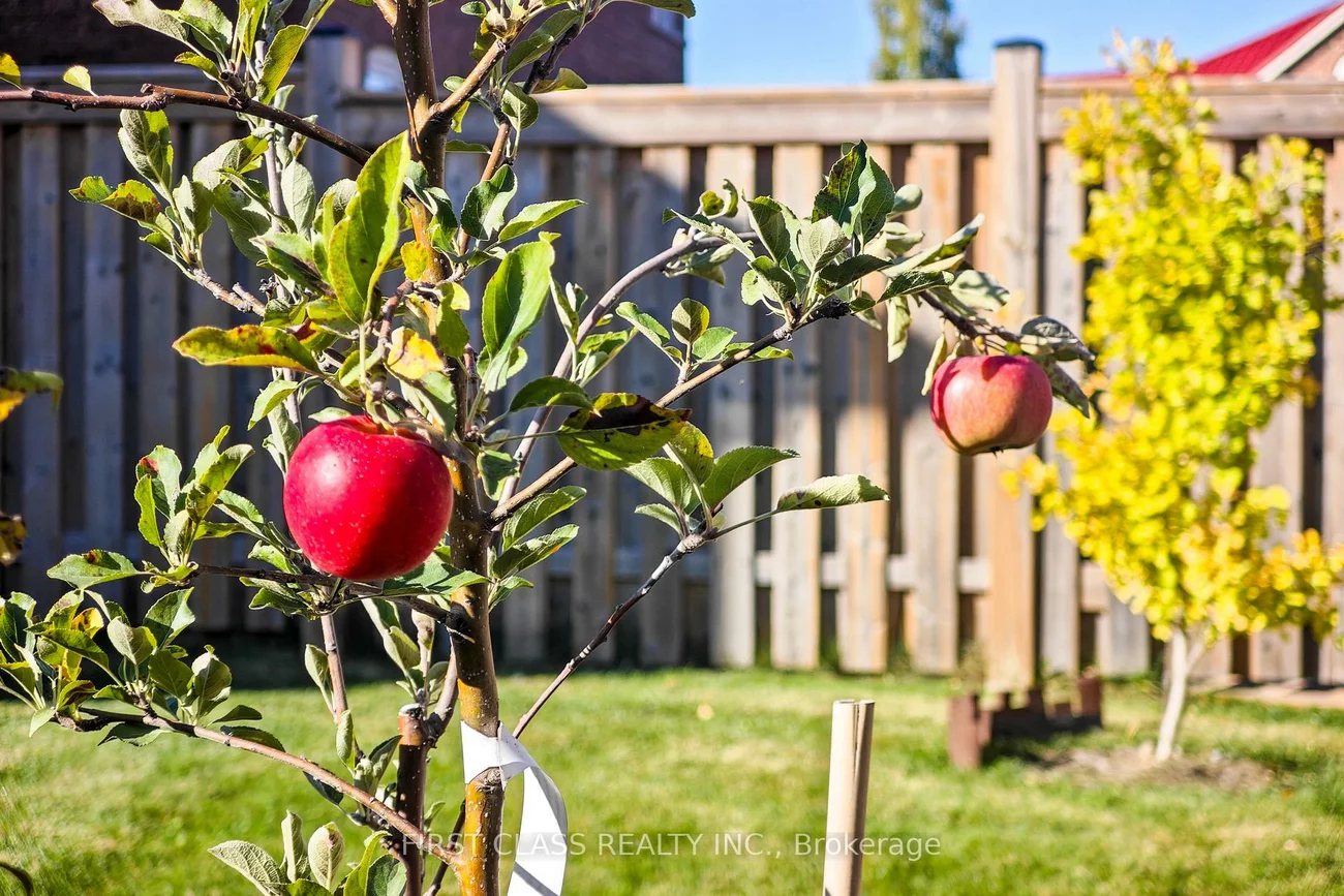 12, Princess Diana, Cathedraltown, Markham