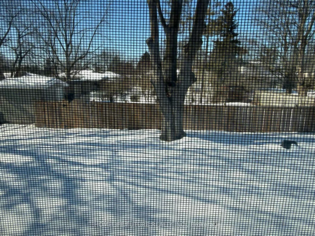 22, Hawkridge, Bullock, Markham