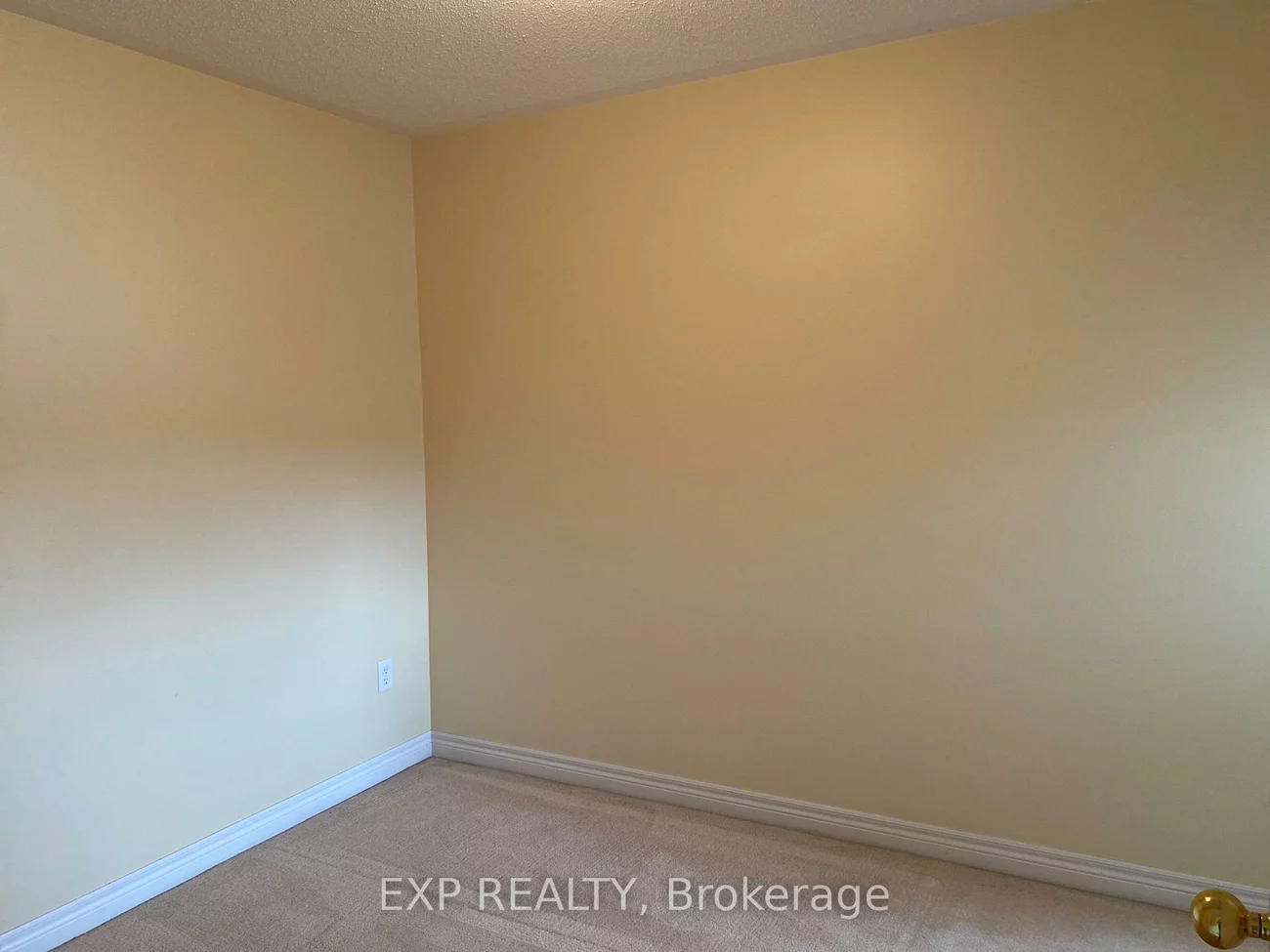 2765, Bur Oak, Cornell, Markham