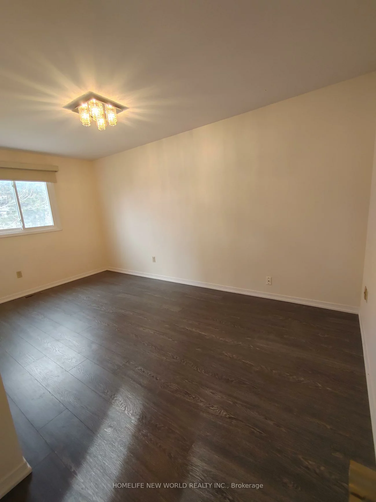 50, Michener, Raymerville, Markham
