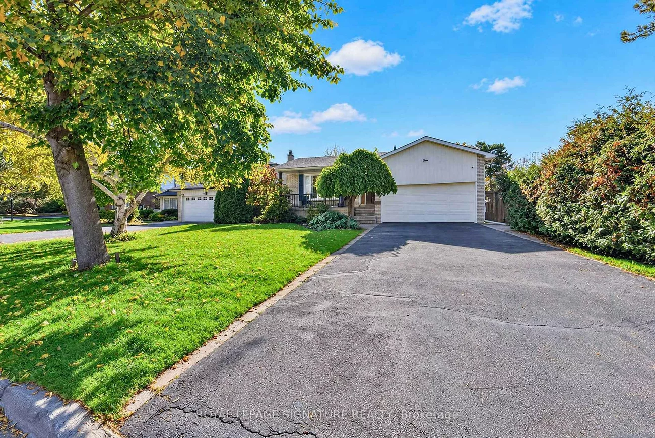 1, Banquo, Royal Orchard, Markham
