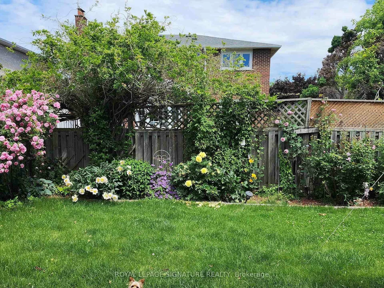 72, Graham, Raymerville, Markham