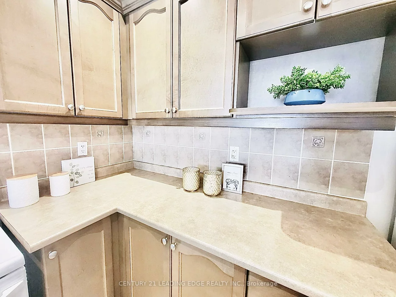 2909, Bur Oak, Cornell, Markham