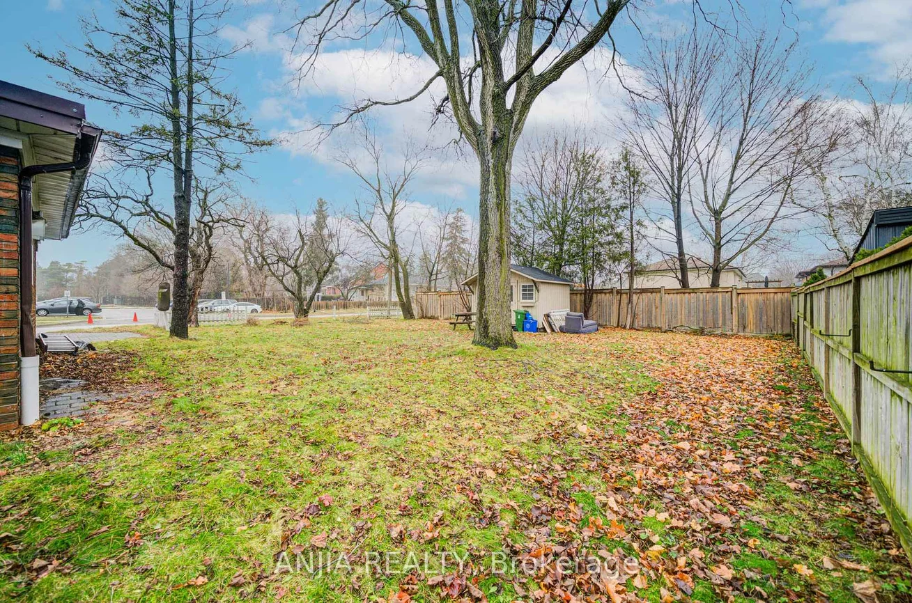 27, Jonquil, Bullock, Markham