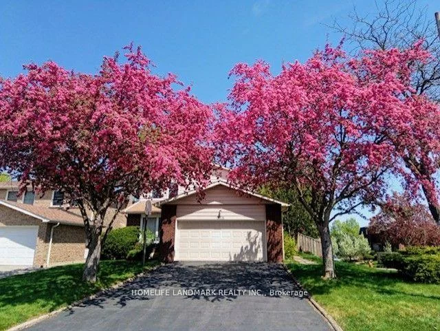 46, Flowervale, German Mills, Markham