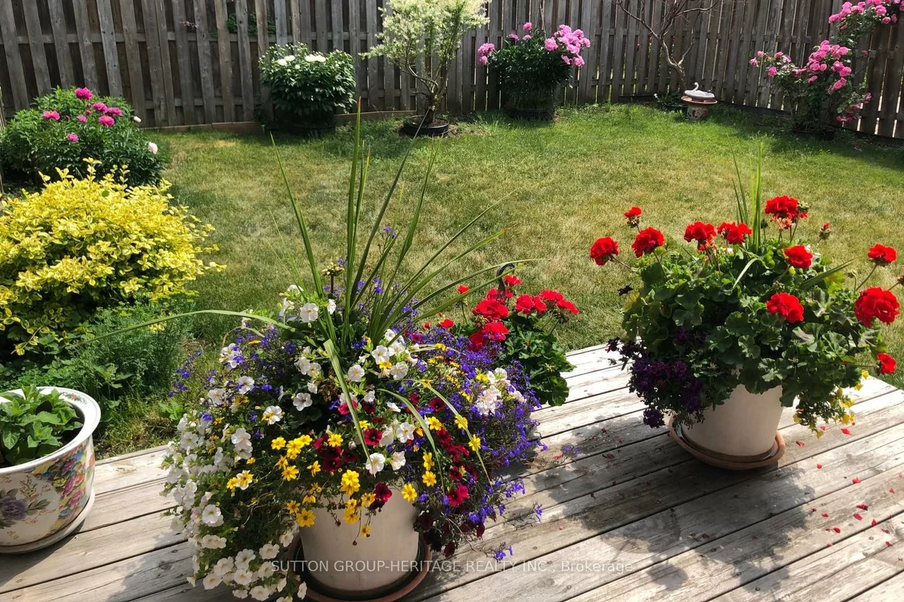 31, Thornton, Milliken Mills East, Markham